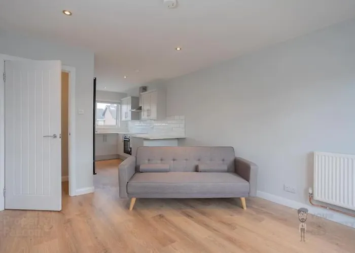 Central And Stylish 2 Bedroom Ravenhill Road Flat